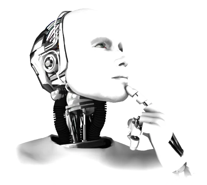 Machine Learning Bootcamp